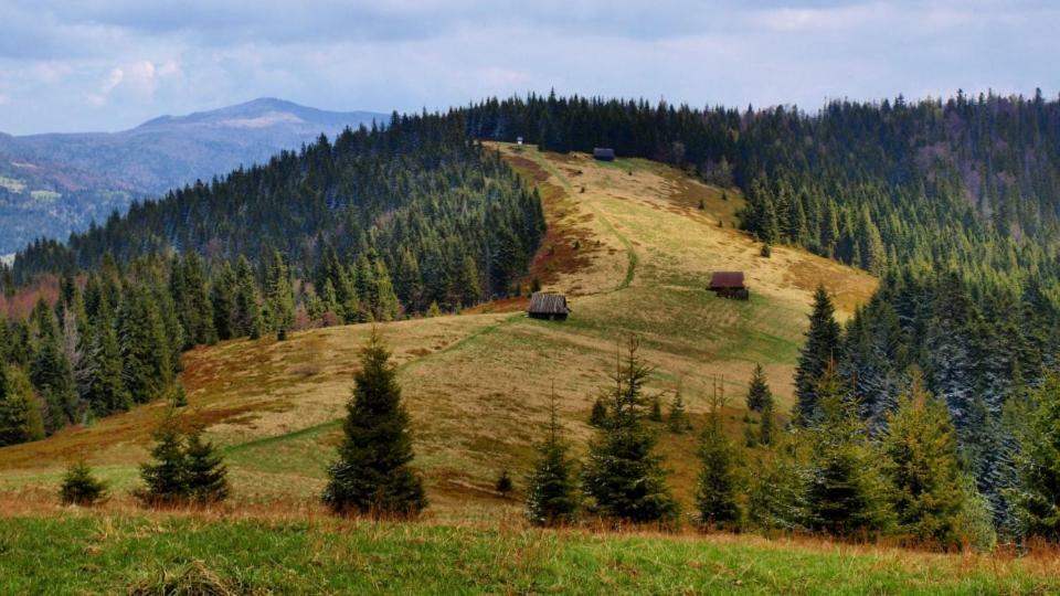 Wasielowka Poręba Wielka Exterior foto